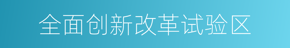 全面创新改革试验区的同义词