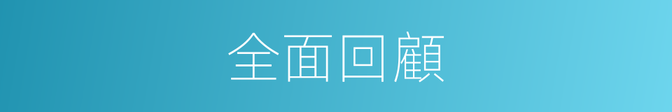 全面回顧的同義詞