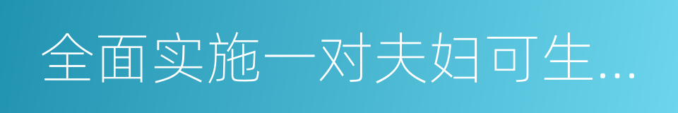 全面实施一对夫妇可生育两个孩子政策的同义词