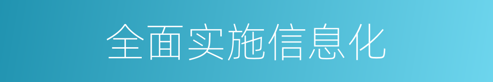 全面实施信息化的同义词