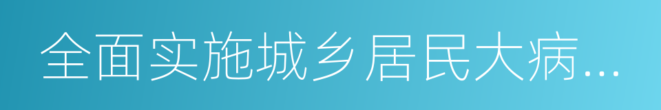 全面实施城乡居民大病保险的同义词