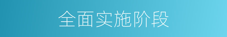 全面实施阶段的同义词