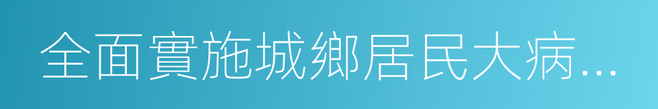 全面實施城鄉居民大病保險的同義詞