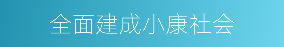 全面建成小康社会的同义词