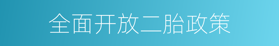 全面开放二胎政策的同义词