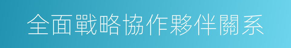 全面戰略協作夥伴關系的同義詞