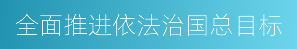 全面推进依法治国总目标的同义词