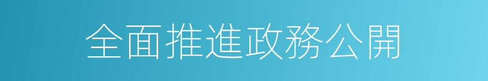全面推進政務公開的同義詞