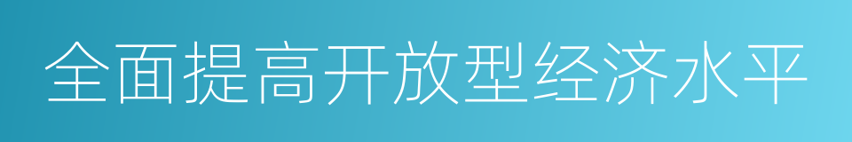 全面提高开放型经济水平的同义词