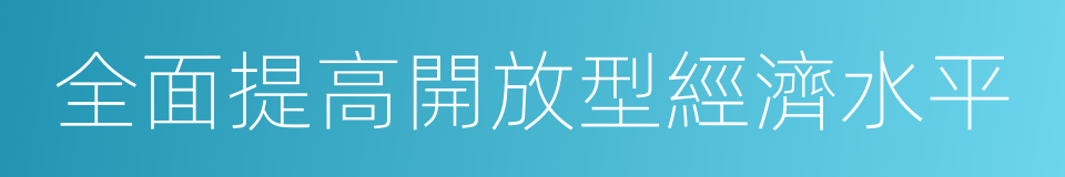 全面提高開放型經濟水平的同義詞