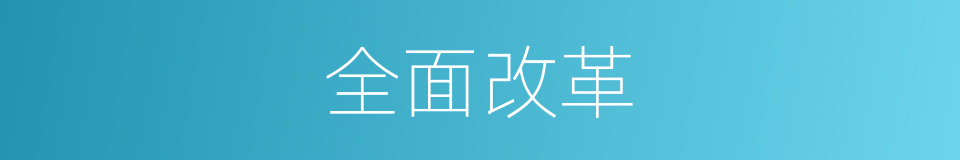 全面改革的同义词
