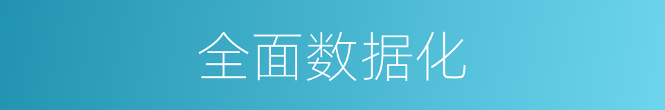 全面数据化的同义词