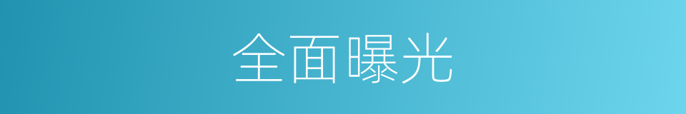 全面曝光的同义词