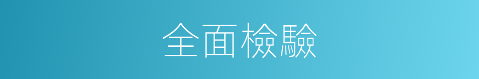 全面檢驗的同義詞