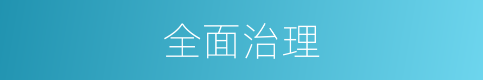 全面治理的同义词