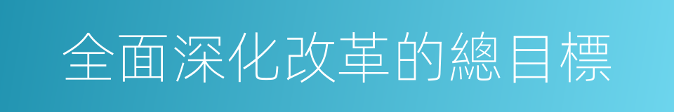全面深化改革的總目標的同義詞