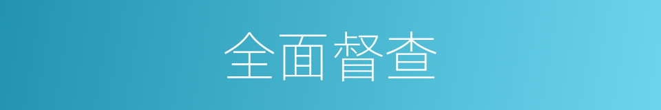 全面督查的同义词