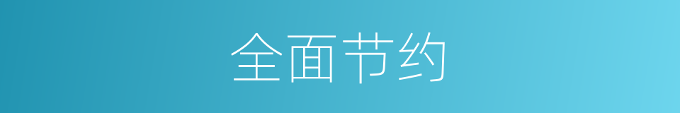 全面节约的同义词