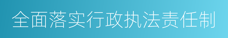 全面落实行政执法责任制的同义词