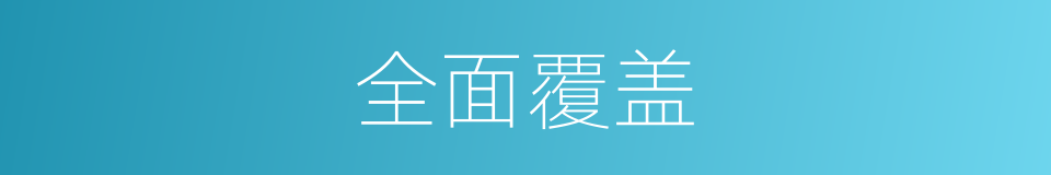 全面覆盖的同义词