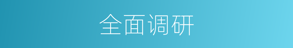 全面调研的同义词