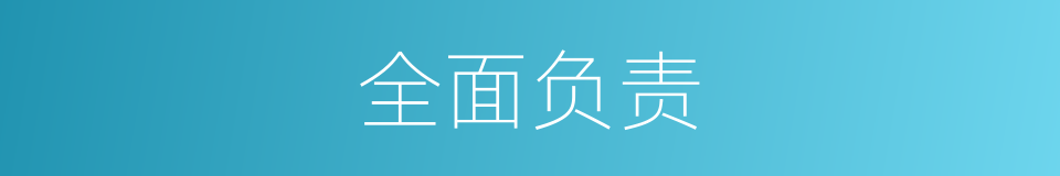 全面负责的同义词