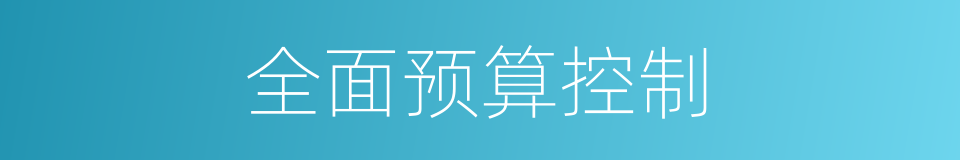 全面预算控制的同义词