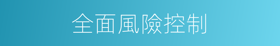 全面風險控制的同義詞