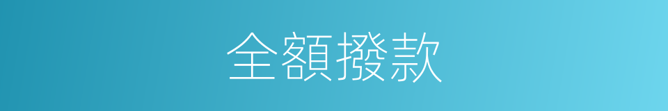 全額撥款的同義詞