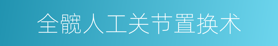 全髋人工关节置换术的同义词