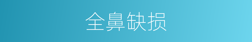 全鼻缺损的同义词