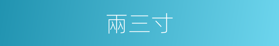 兩三寸的同義詞