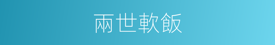 兩世軟飯的同義詞
