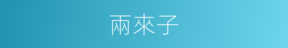 兩來子的意思