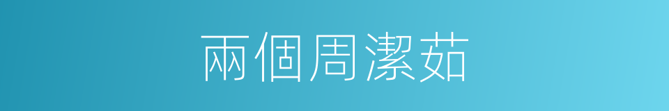 兩個周潔茹的同義詞