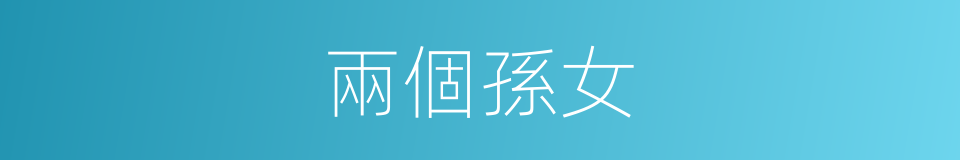 兩個孫女的同義詞