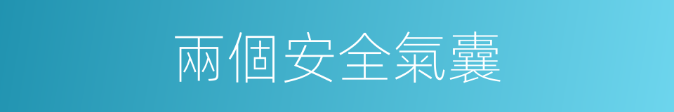 兩個安全氣囊的同義詞