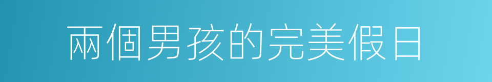 兩個男孩的完美假日的同義詞