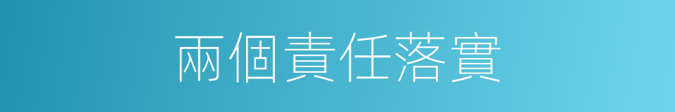 兩個責任落實的同義詞