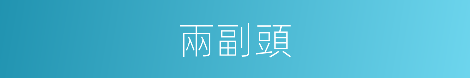 兩副頭的同義詞