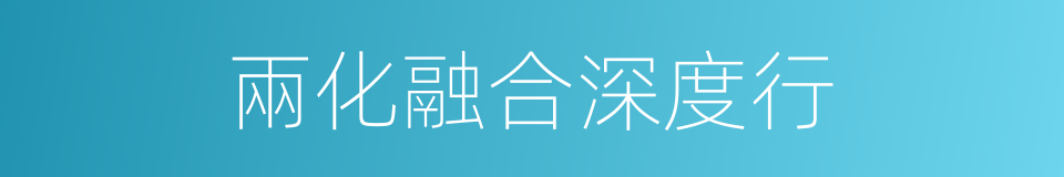 兩化融合深度行的同義詞