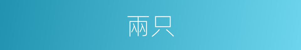 兩只的同義詞