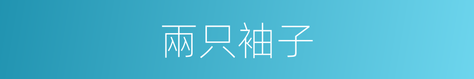 兩只袖子的同義詞