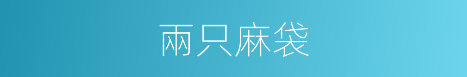兩只麻袋的同義詞