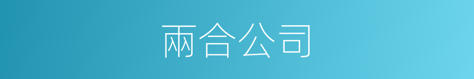 兩合公司的意思
