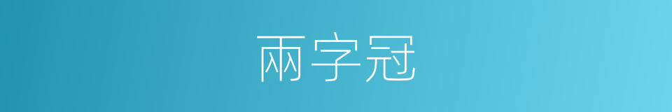 兩字冠的同義詞