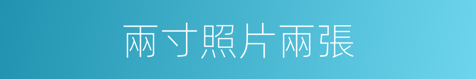 兩寸照片兩張的同義詞