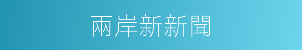 兩岸新新聞的同義詞