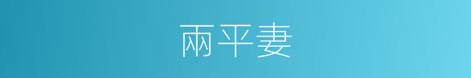 兩平妻的同義詞