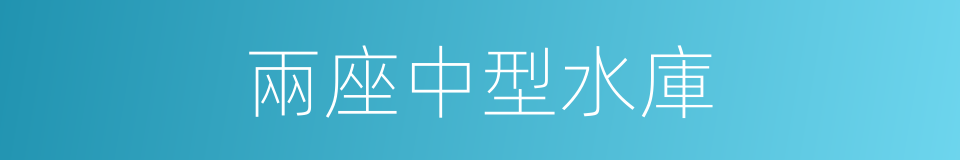 兩座中型水庫的同義詞